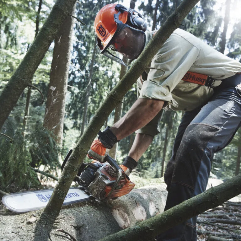 Husqvarna Chainsaw 562 XP® (2020) | Hometown Motors
