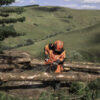 Husqvarna Chainsaw 565