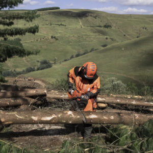 Husqvarna Chainsaw 565